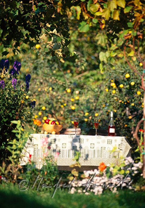gedeckter Gartentisch mit Uhudlersekt