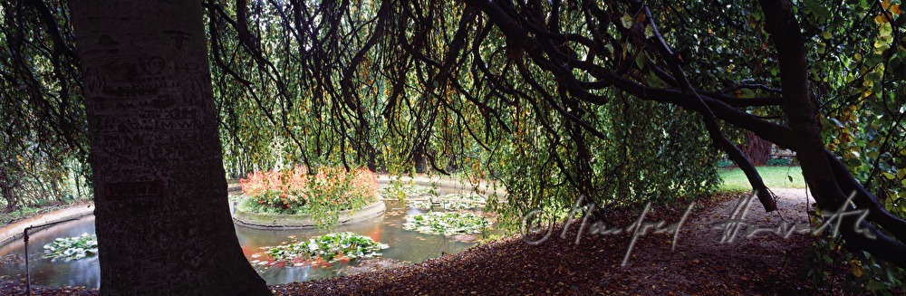 Klostergarten, Teich
