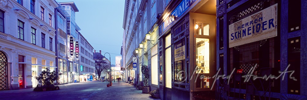 Spittelwiese, Blick zur Landstrasse