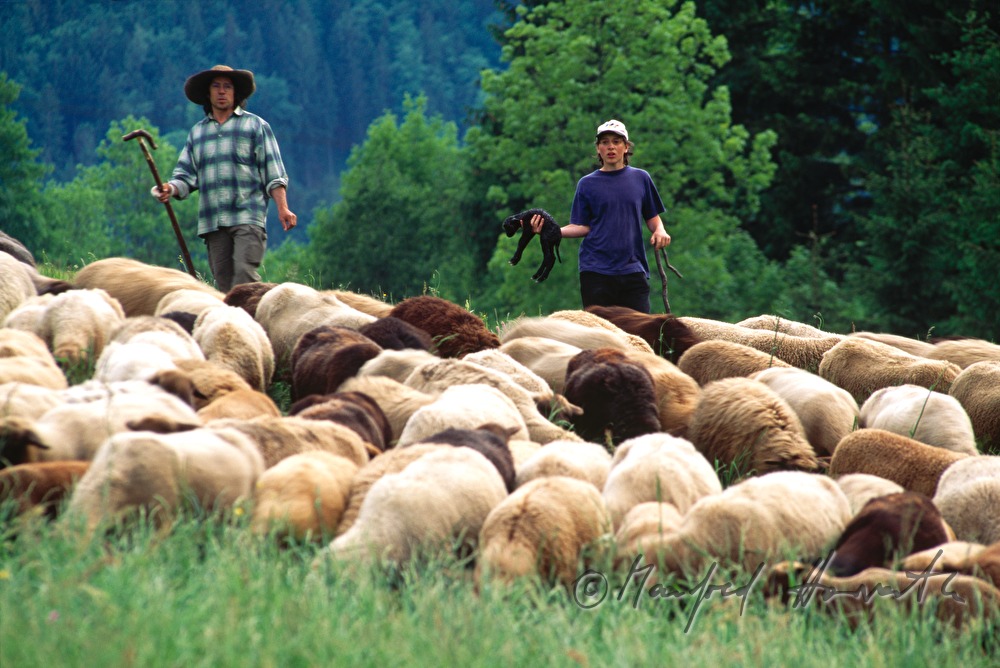Pastorale am Maiszinken