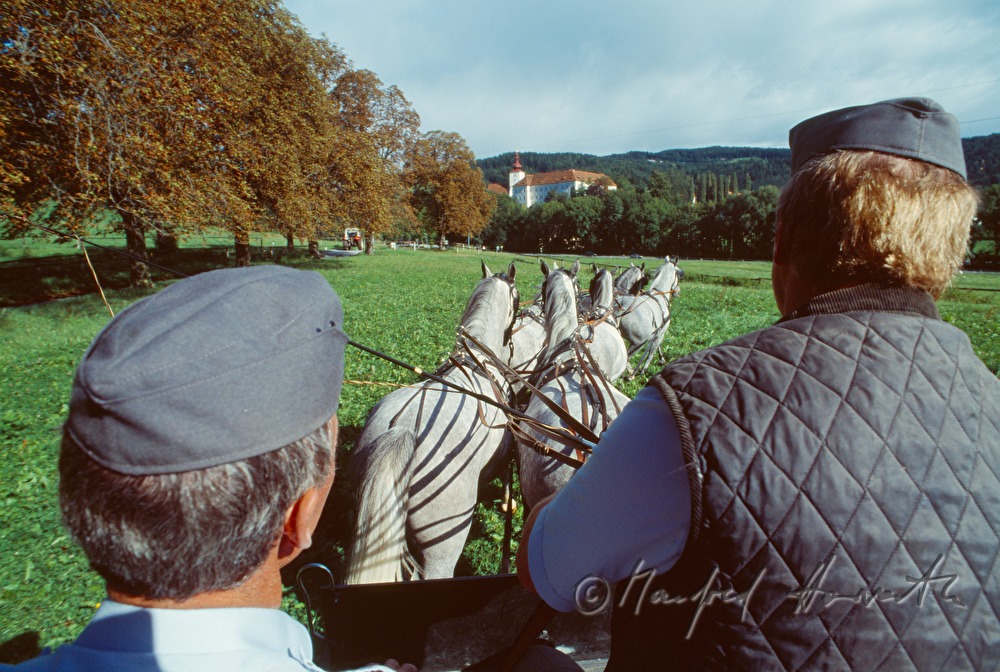 Pferdegespann beim Schloss Piber