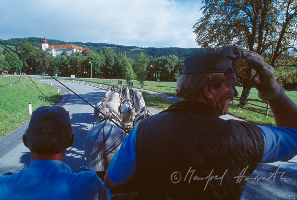 Pferdegespann beim Schloss Piber