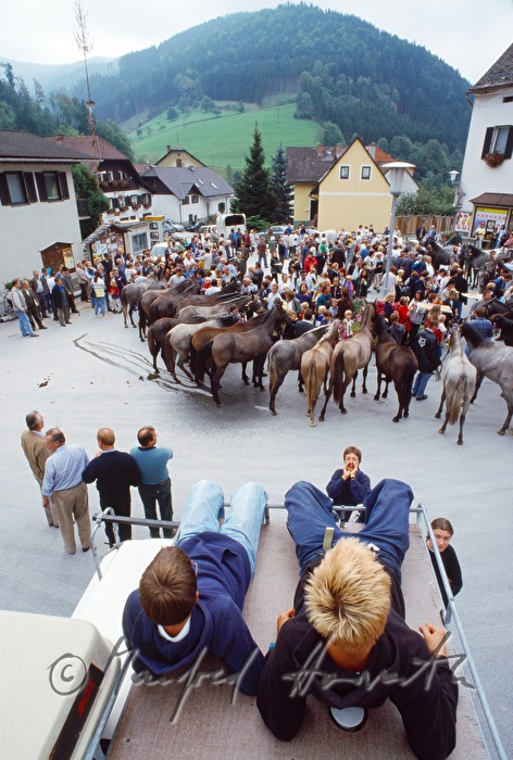Almabtrieb, feierlicher Empfang in Kainach