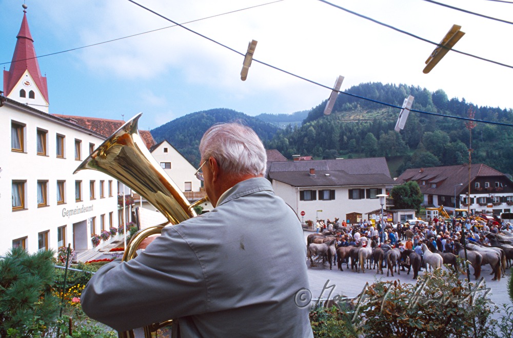 Almabtrieb, feierlicher Empfang in Kainach