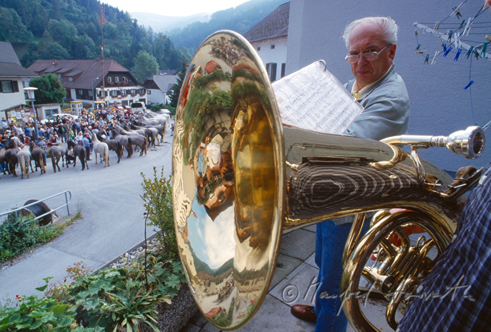 Almabtrieb, feierlicher Empfang in Kainach