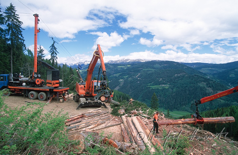 Holzbringung mit Kran-Seilwinde und Harvester