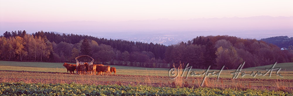 Blick von Kirchschlag auf Linz