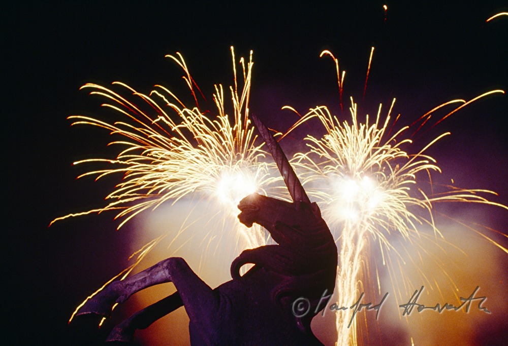 Feuerwerk bei einem Fest im Park