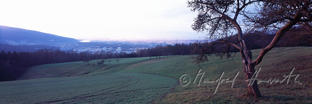 Blick vom Panoramaweg auf Linz