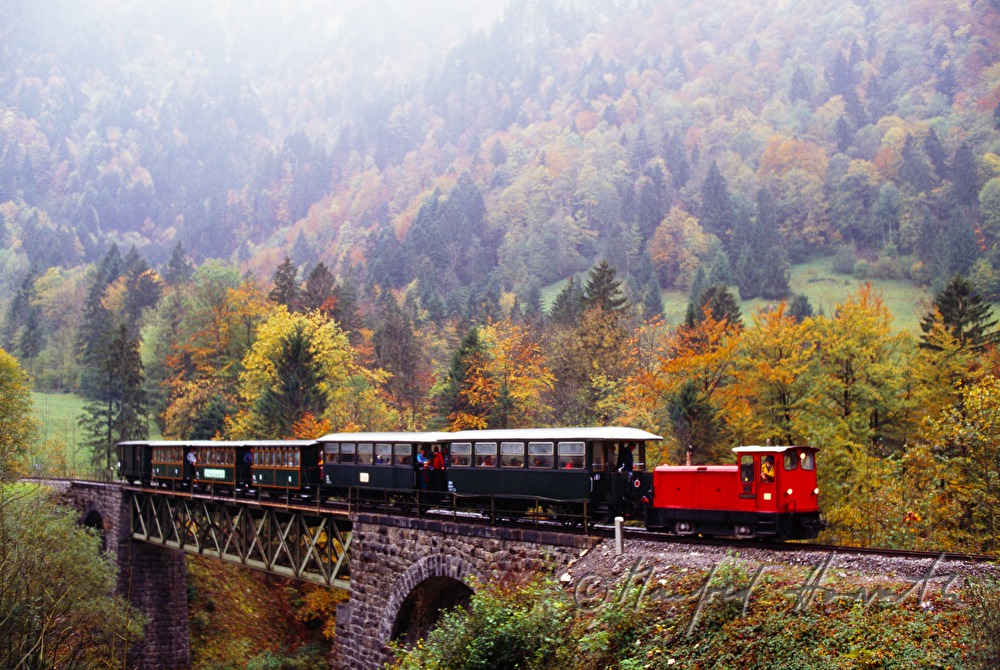 Bregenzerwaldbahn (Schmalspurbahn)