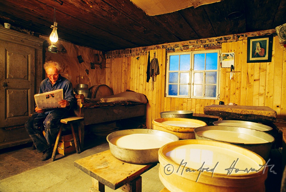 Senner lagert frische Käselaibe