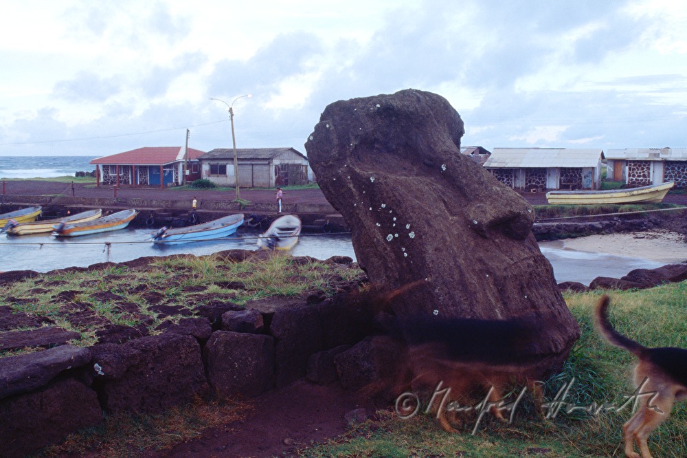 Moai-Kopf im Hafen von Hanga Roa