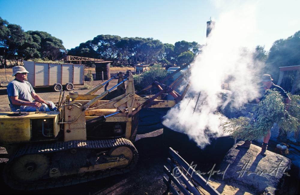 Emu Ridge Eucalyptus Distillery, Eukalyptusöl-Herstellung