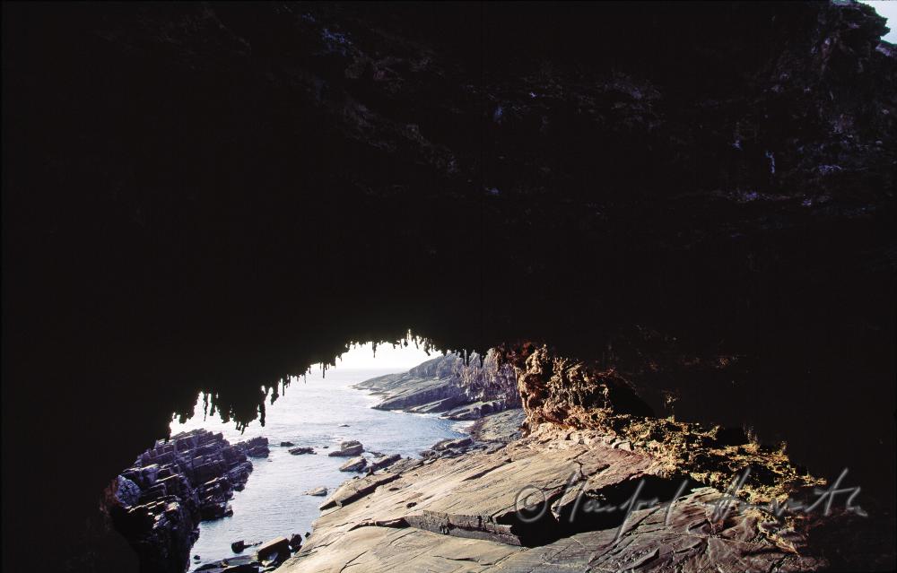 Seal Bay Conservation Park, Höhle
