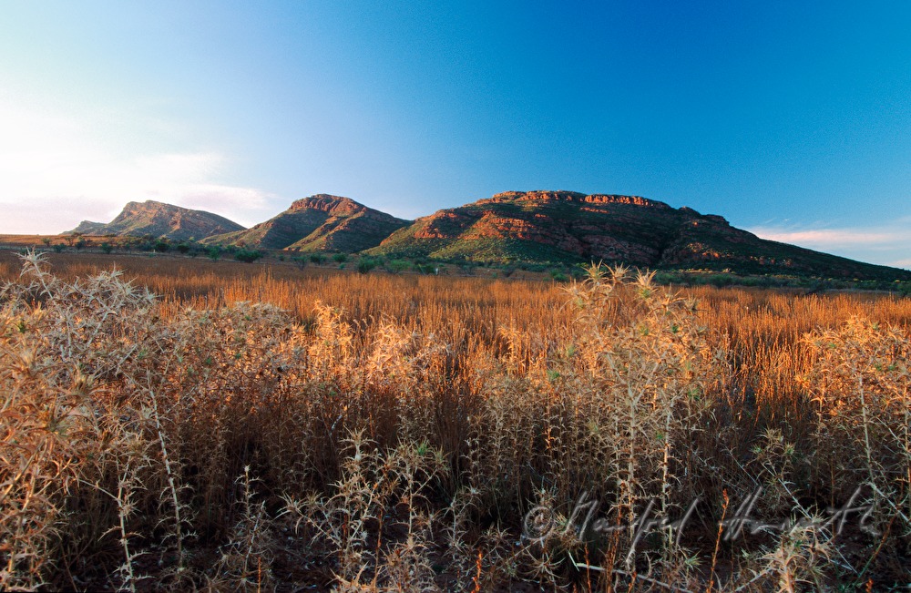 Tal der MacDonnell Ranges
