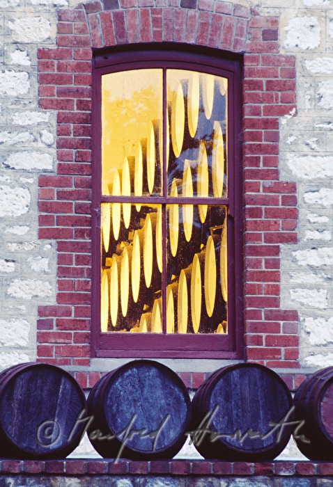 Fenster zum Weinkeller mit vielen Weinfässern