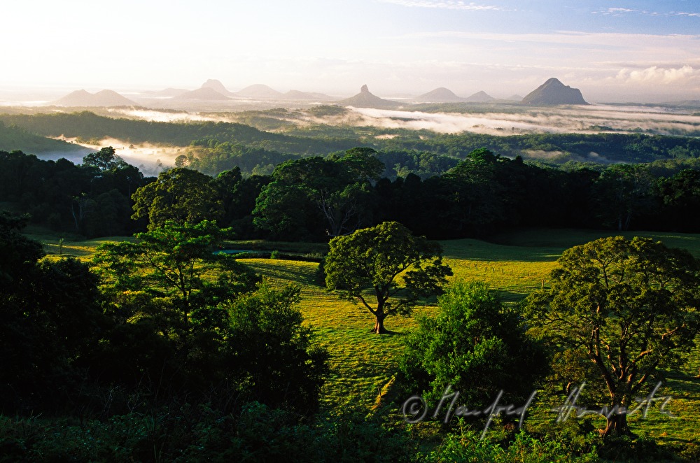 Morgendunst und Glass House Mountains
