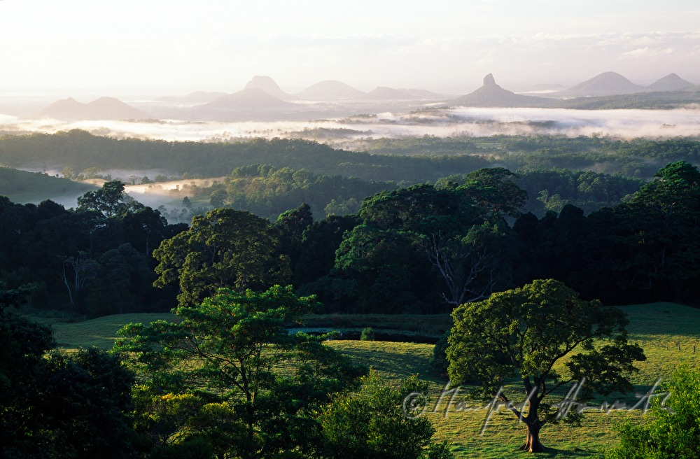 Morgendunst und Glass House Mountains