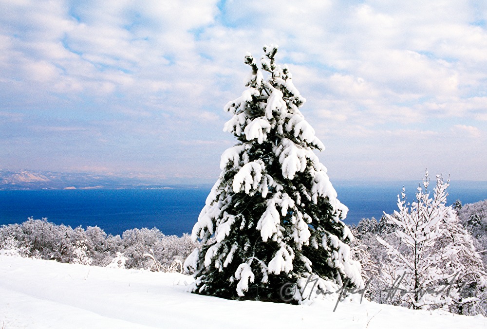 winterlicher Wald und Blick zur Adria