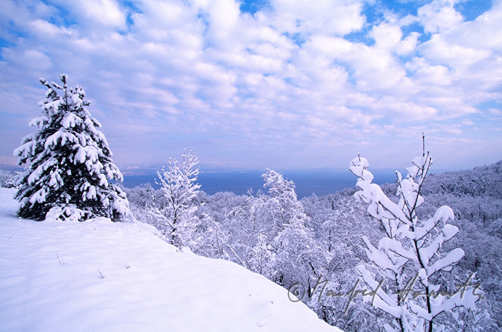 winterlicher Wald und Blick zur Adria