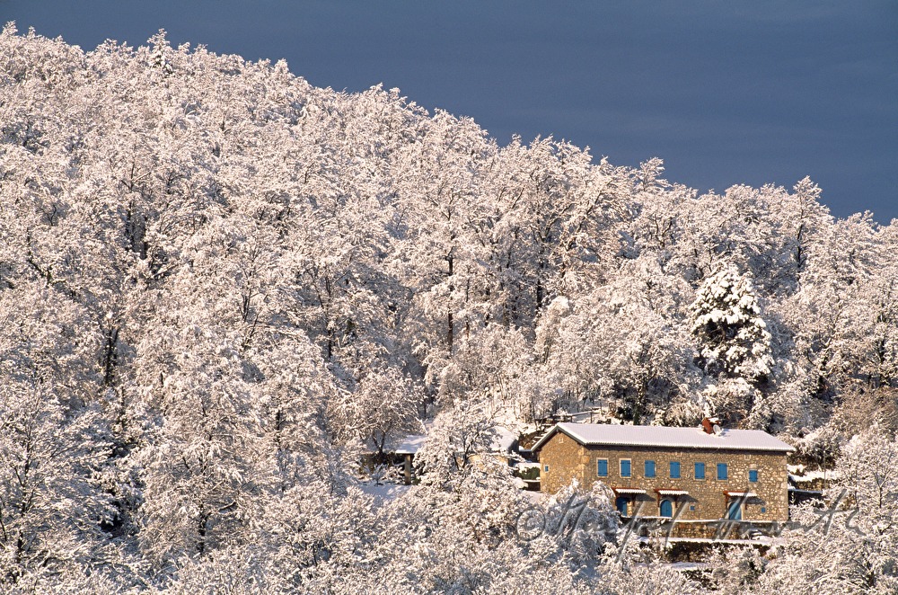 winterlicher Wald und Steinhaus