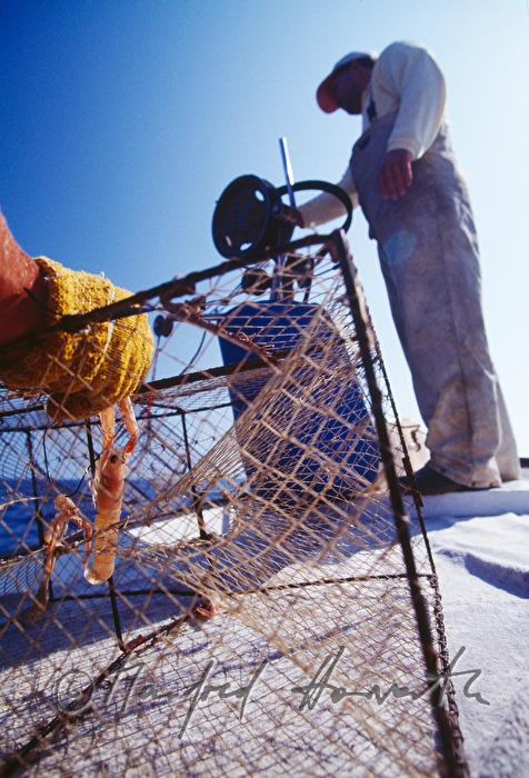 Scampifischer mit Reusen auf dem Fischerboot