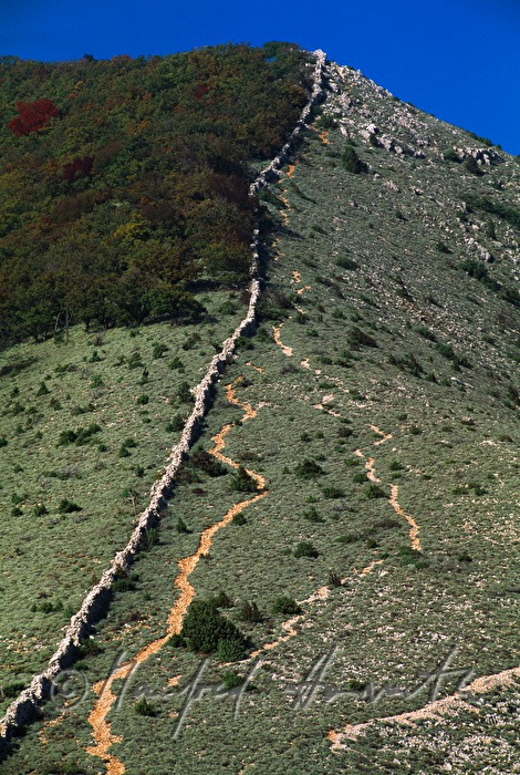 Steinmauer und Schaf-Trampelpfade
