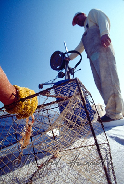 Scampifischer mit Reusen auf dem Fischerboot