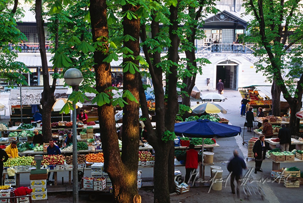 Jugendstil-Markthalle aus der k und k Zeit