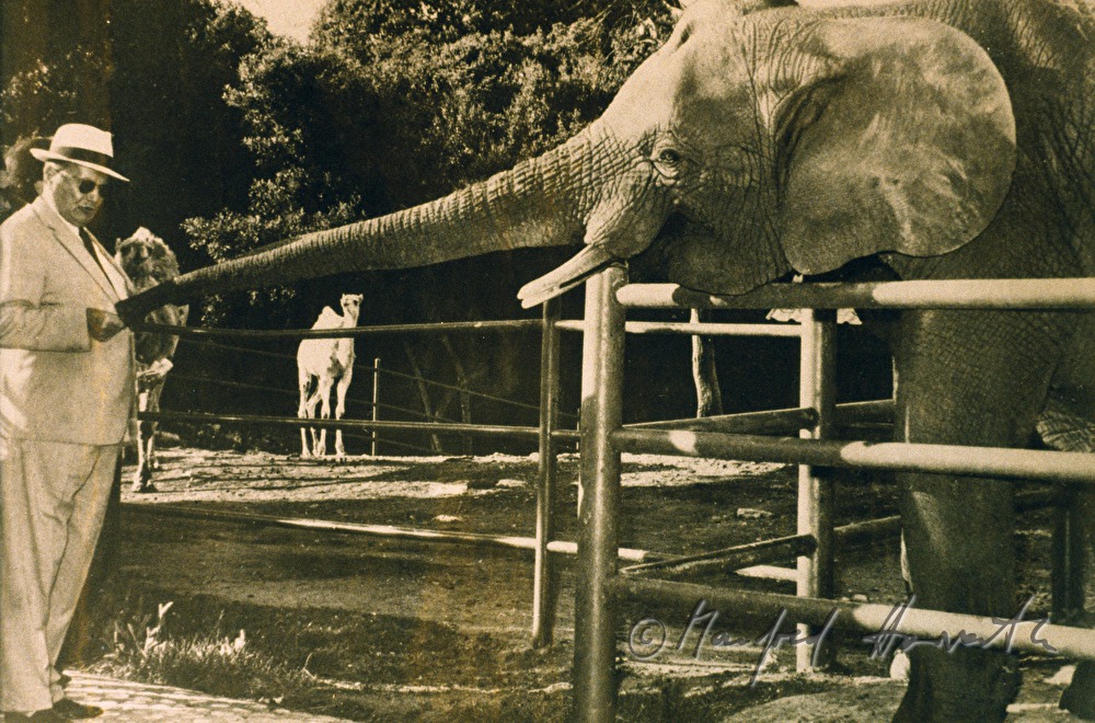 Tito mit Elefant (Geschenk von Indira Ghandi)