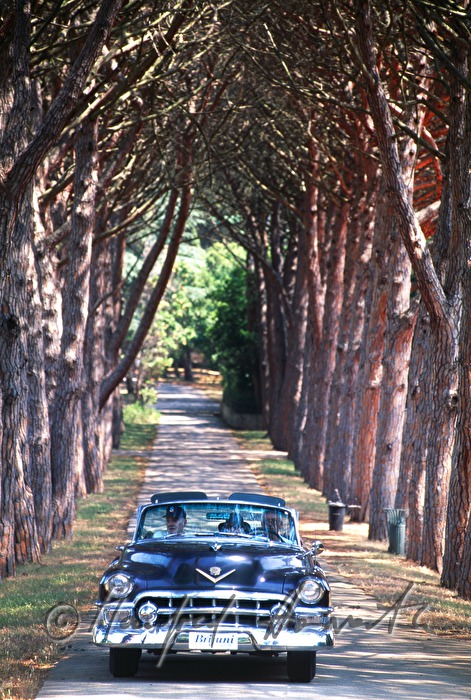 Miet-Chevrolet Titos in einer Allee
