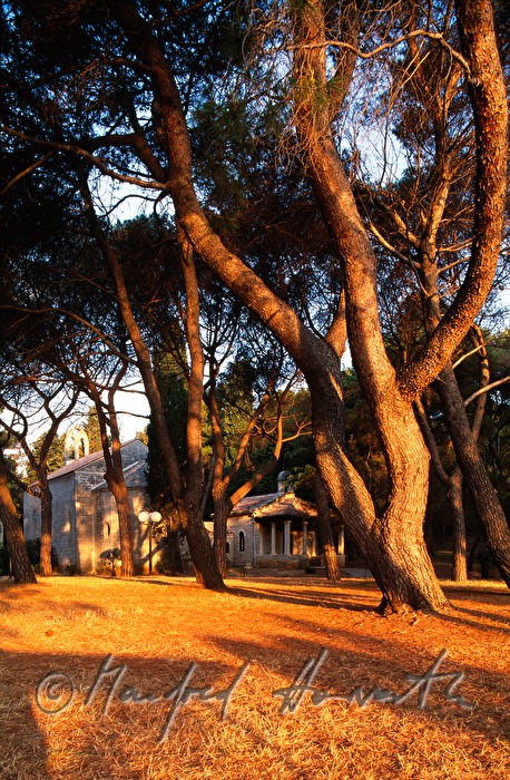 Kirche im Wald