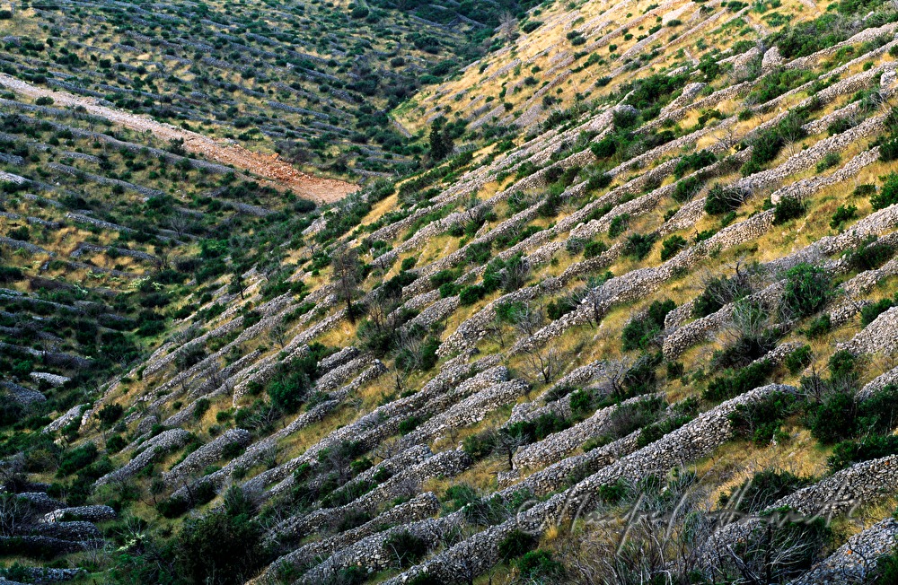 Steinmauern in einem Feld