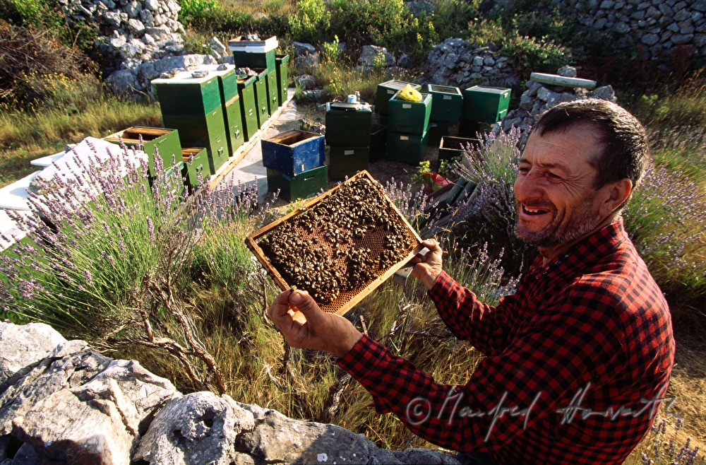 Imker mit Bienen