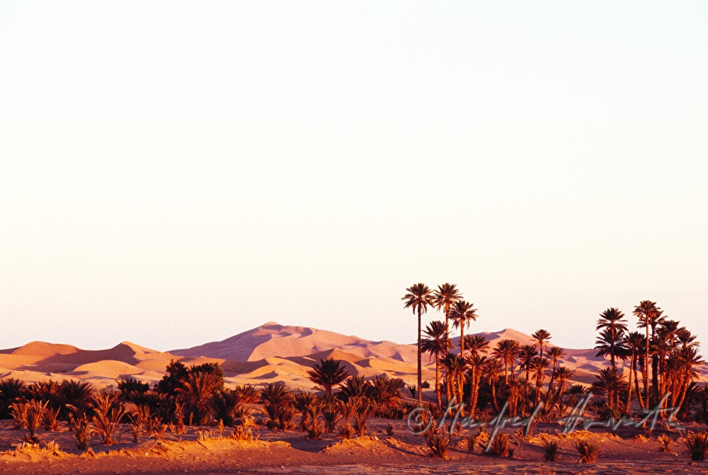 Sanddünen am Erg Chebbi