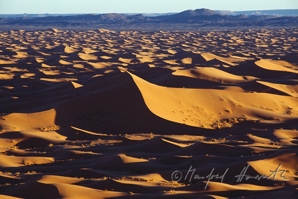 Sanddünen am Erg Chebbi