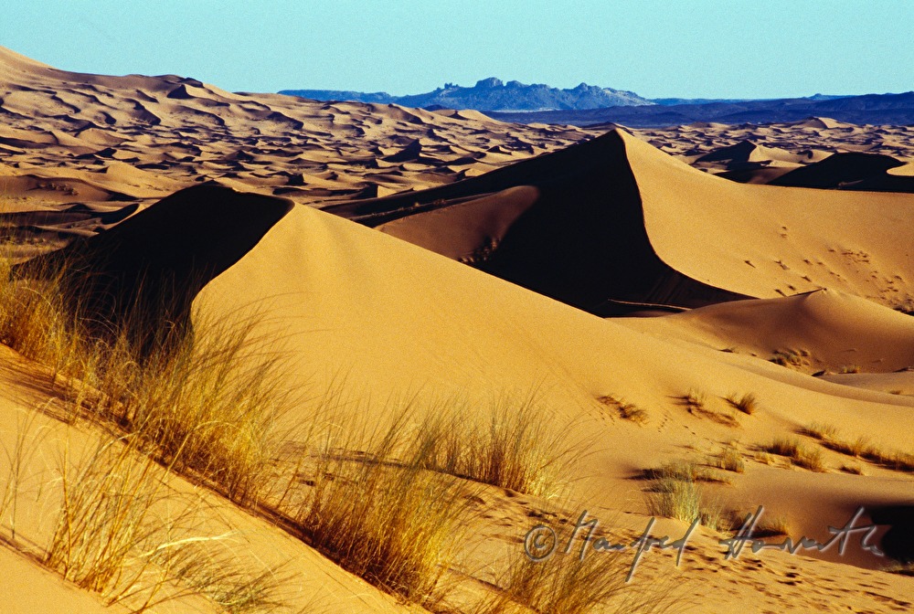 Sanddünen am Erg Chebbi