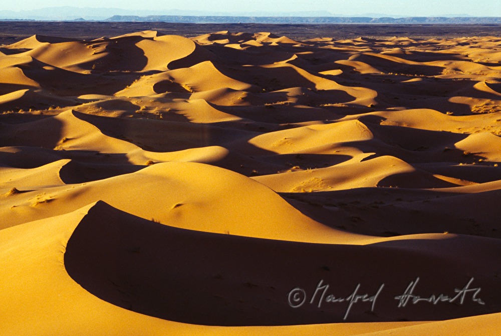 Sanddünen am Erg Chebbi