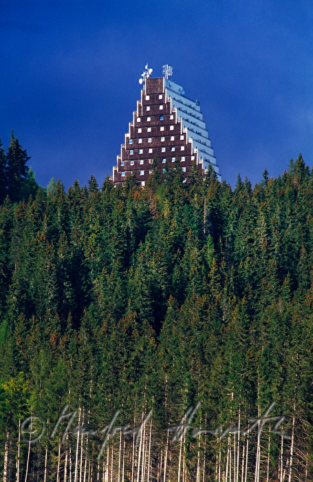 Hotel Panorama und Nadelwald-Lichtung