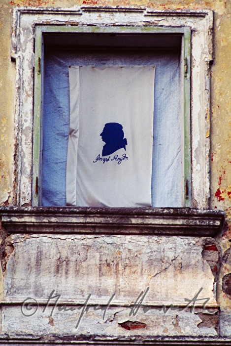 Fahne mit Joseph Haydn-Silhouette