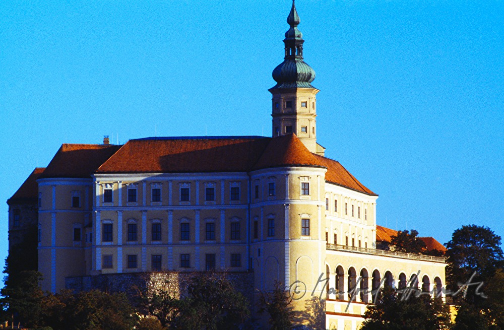 Altstadt mit Schloss und Turm