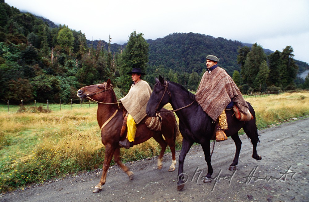 Gauchos in Ponchos reiten auf der Carretera Austral