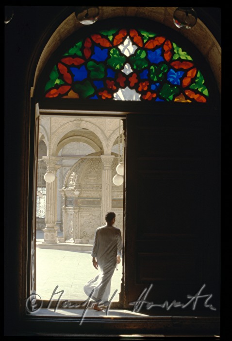 Muhammad-Ali-Moschee, Portal