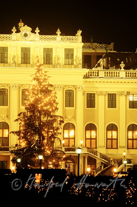 Christbaum beim Christkindlmarkt