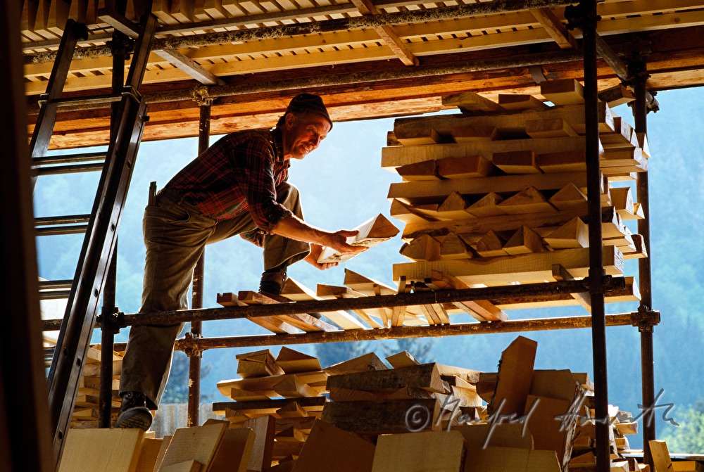 Herstellung von Tonholz für Geigen