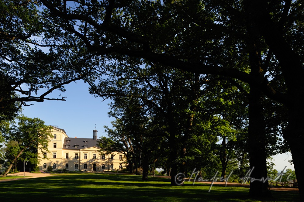 Chateau Mcely, Ansicht vom Park