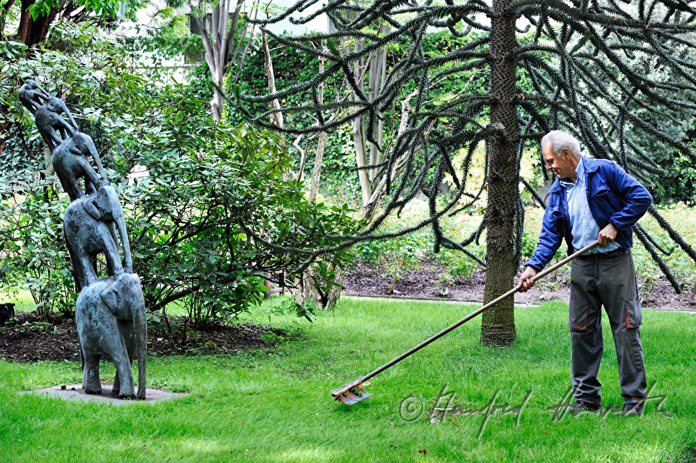 Gärtner recht den Rasen im Park