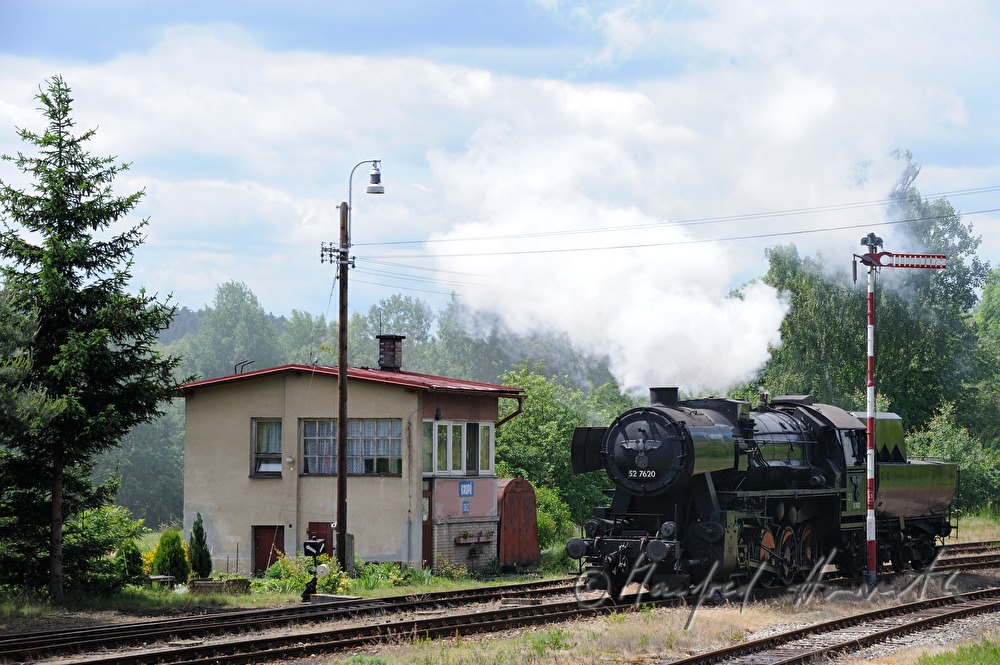 Dampflokomotive im Bahnhof von Dolni Krupa
