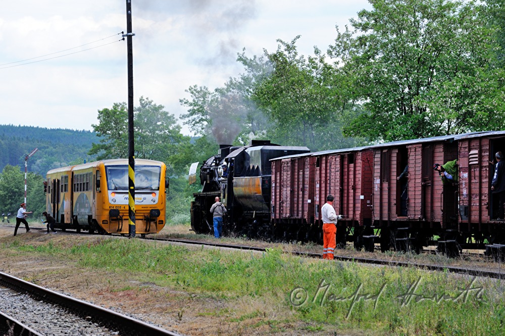 Dampflokomotive im Bahnhof von Dolni Krupa