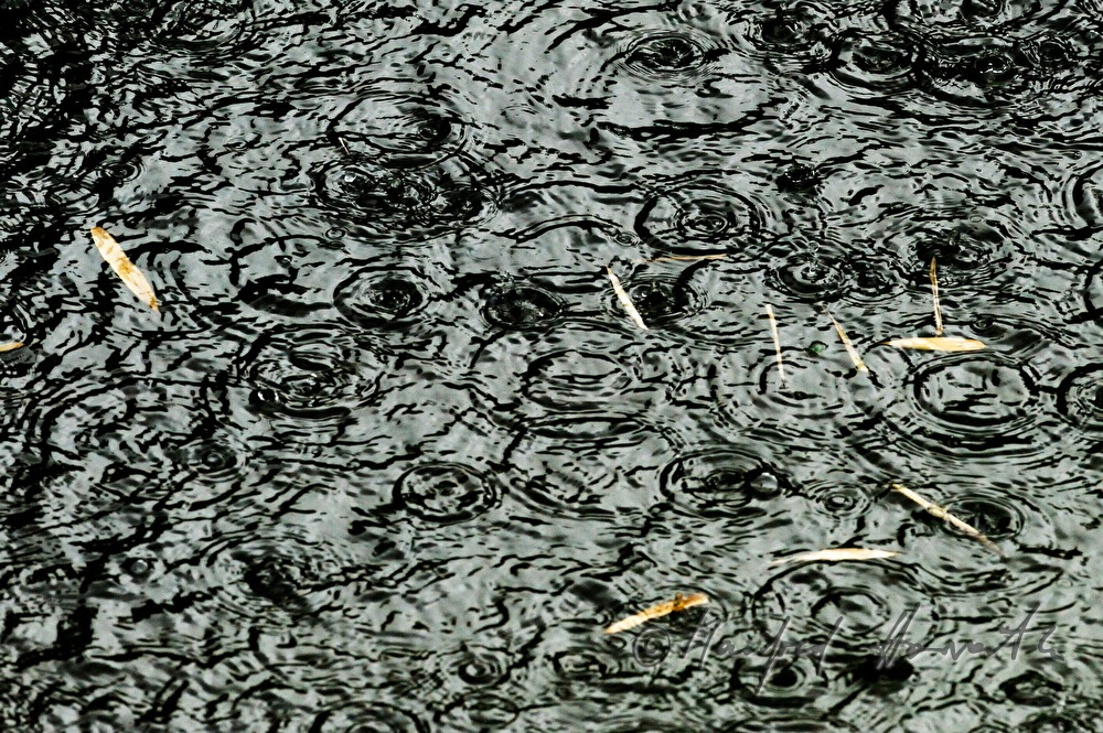 Regentropfen prasseln auf einen Teich